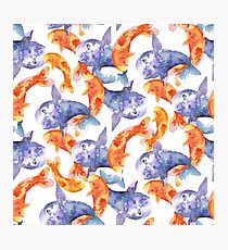 JAPANESE KOI Photographic Print