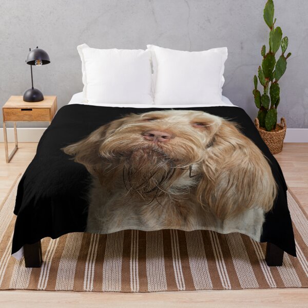 Head tilt Spinone Throw Blanket