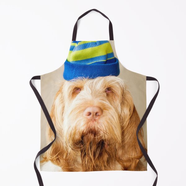 Artikelvorschau, In einem blauen Hut Spinone entworfen und verkauft von FOLK ART FUSION by heidiannemorris.