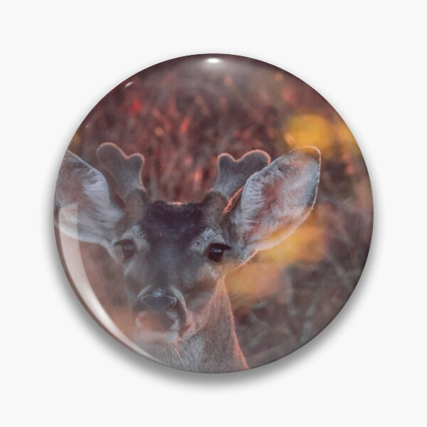 Item preview, Young sunrise designed and sold by Nadialoz.