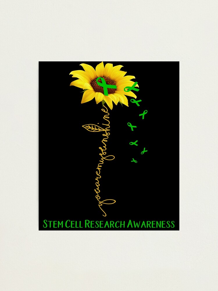 Estuche Para Lápices De Girasol Con Cremallera, Duradero, Portátil