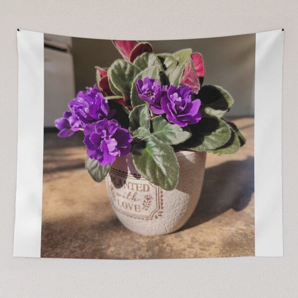 Item preview, African violet Original photo designed and sold by Phoebew03.