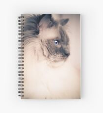 Savannah Spiral Notebook