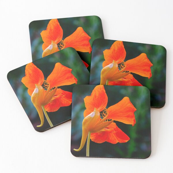 Item preview, Nasturtium designed and sold by szaboartisan.