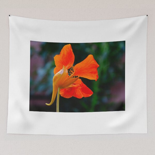 Item preview, Nasturtium designed and sold by szaboartisan.