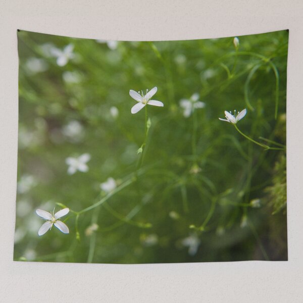Item preview, Dainty White (Star Flower) designed and sold by metriognome.