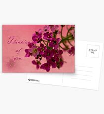Thinking Of You Card - Alyssum Postcards