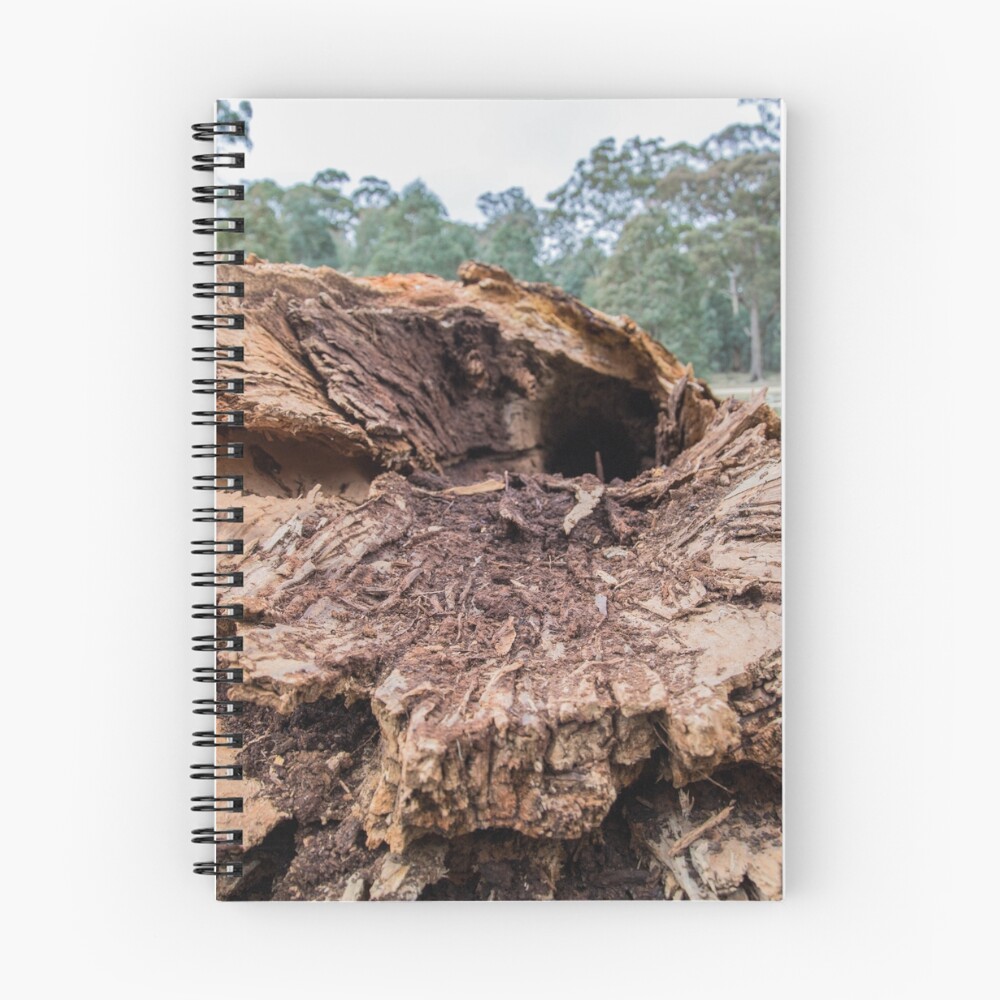 Item preview, Spiral Notebook designed and sold by cactusdandy.