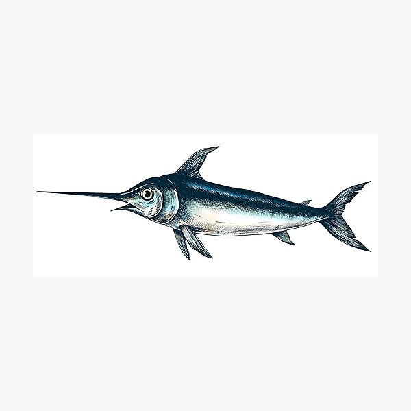 Item preview, Fisher's Catch designed and sold by RedTop Tees.