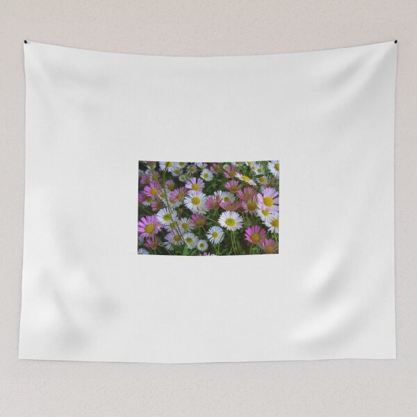 Item preview, Somerset Wall Daisies designed and sold by lezvee.