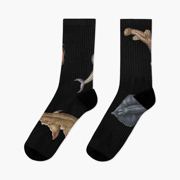 Item preview, Vegan Meme with Medieval Fish - Joris Hoefnagel designed and sold by MemesOfHistory.
