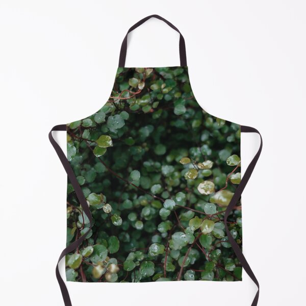 Item preview, Evergreen Plant At Botanic Garden designed and sold by Ilya Chirkov.