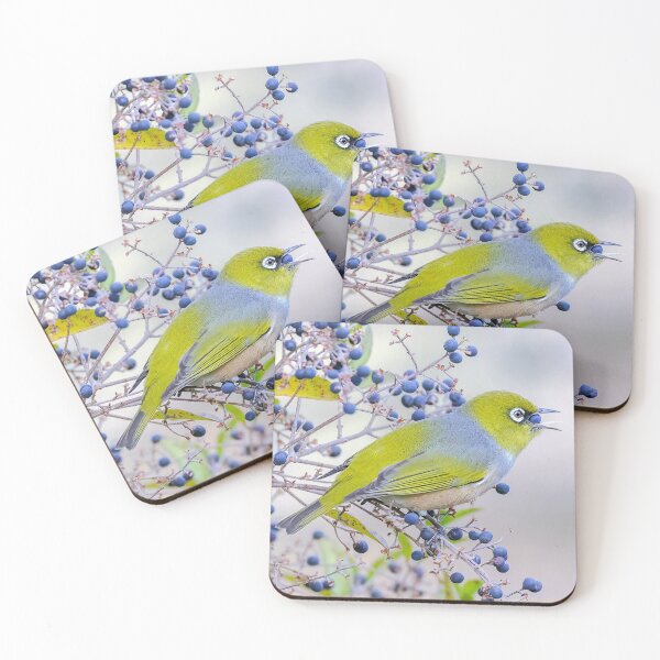 Item preview, Feeding silvereye.  designed and sold by DaveBassett.