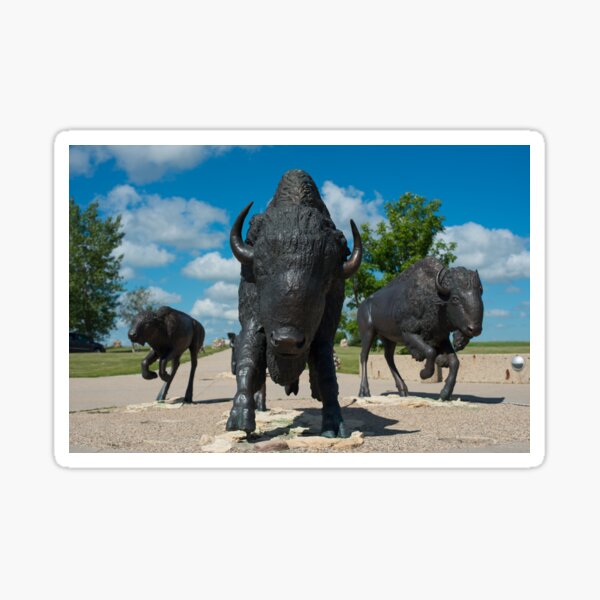 Bison Stampede Sticker
