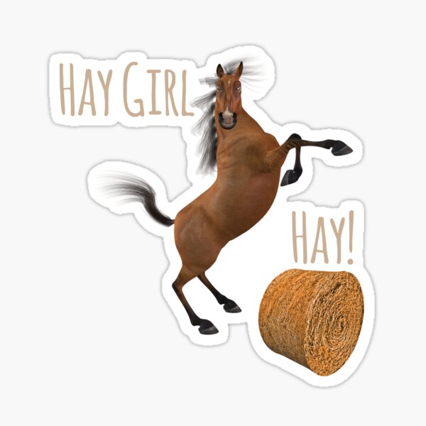 Horse Pun Stickers for Sale