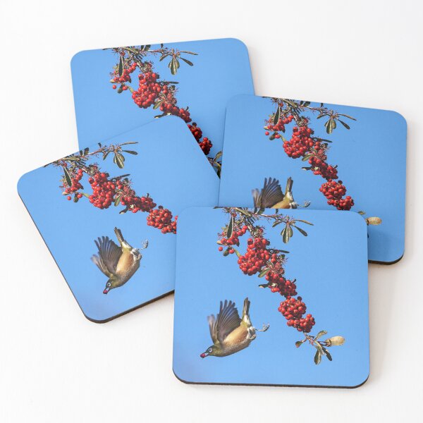Item preview, Silvereye's take away meal.  designed and sold by DaveBassett.