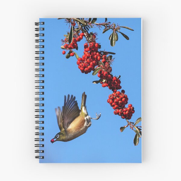Item preview, Silvereye's take away meal.  designed and sold by DaveBassett.