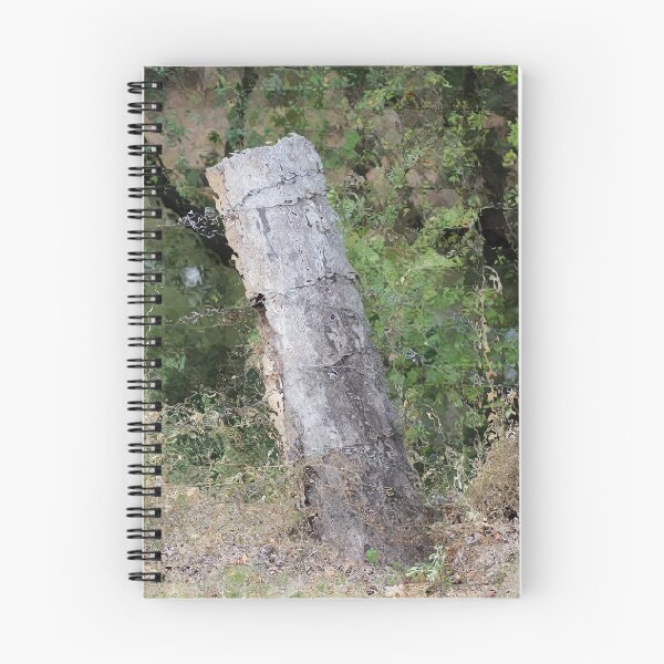 Item preview, Photo effect  designed and sold by Jodie Cooper.