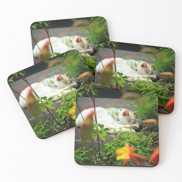 Item preview, Kitten Sleeping in the Garden designed and sold by Ardent Imagery.