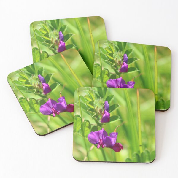 Item preview, Wildflower designed and sold by Ardent Imagery.