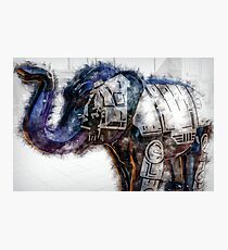 Skywalker Photographic Print