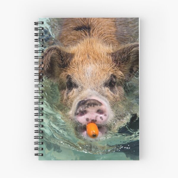 Item preview, Poor Substitute for a Snorkel designed and sold by cactusdandy.
