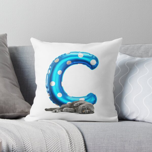 https://ih1.redbubble.net/image.2615517380.4135/throwpillow,small,600x-bg,f8f8f8-c,0,120,600,600.jpg