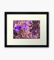 Lila Blumen mit Fliege Gerahmtes Wandbild