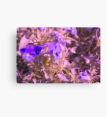 Lila Blumen mit Fliege Leinwanddruck
