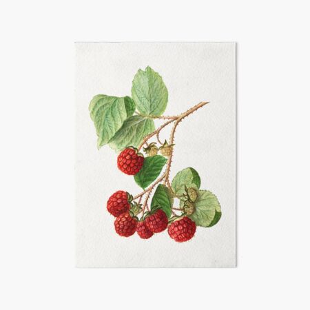 Item preview, Vintage branch of red raspberry designed and sold by JhinSW.