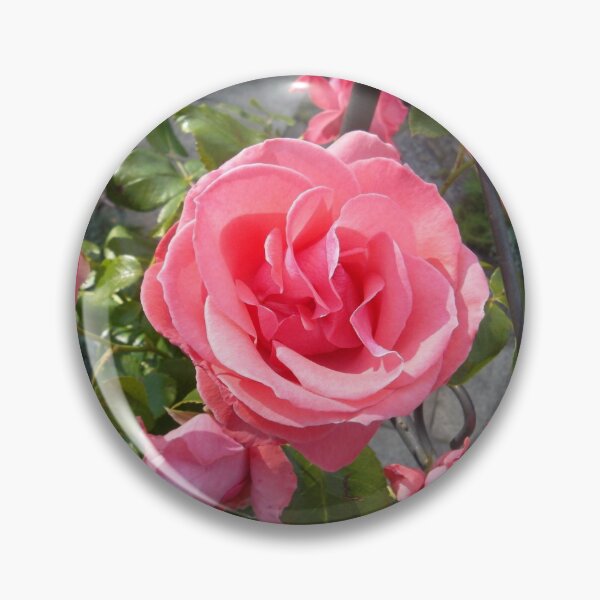 Artikelvorschau, Rose entworfen und verkauft von Moodzz.
