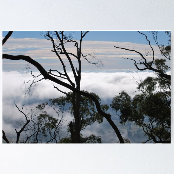 Item preview, Cloud Surfing designed and sold by Lorraine McCarthy.