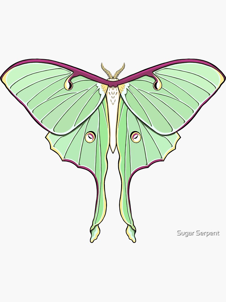 Retro Luna Moth Stickers Witchy Stickers