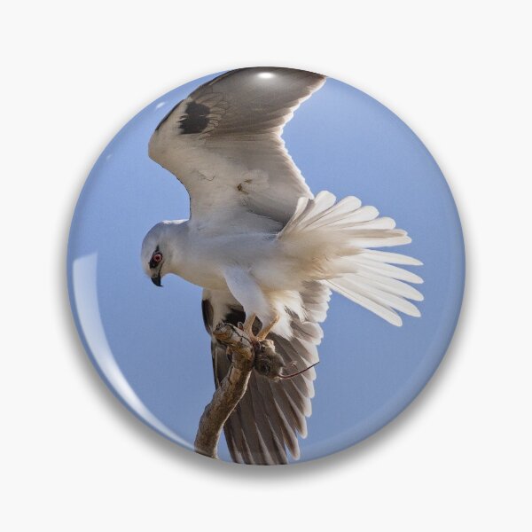 Item preview, Kite landing with mouse. designed and sold by DaveBassett.
