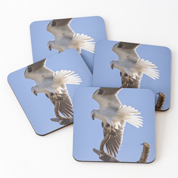 Item preview, Kite landing with mouse. designed and sold by DaveBassett.