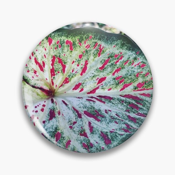 Item preview, Caladium dos designed and sold by Crowe75.