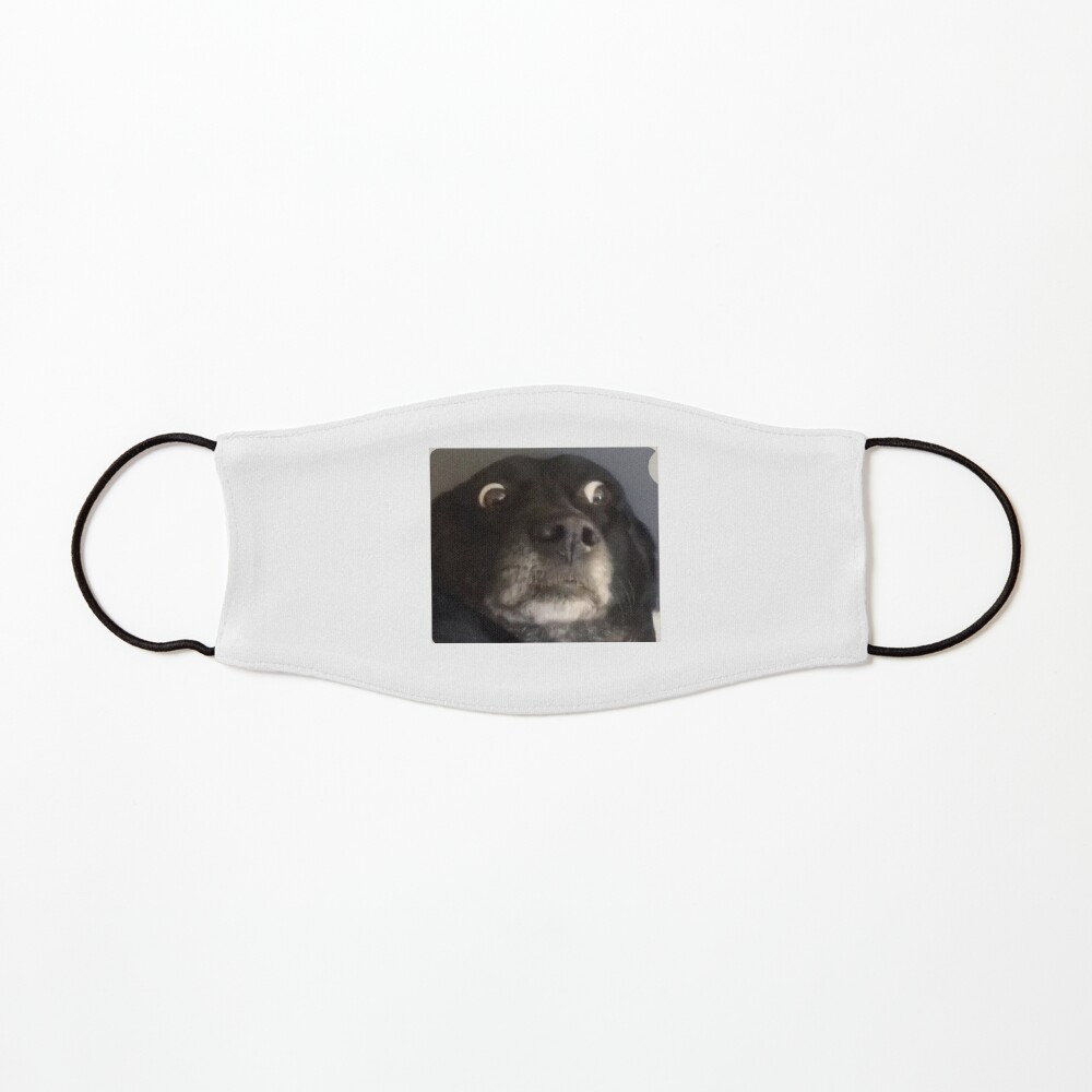 scared dog face Magnet for Sale by Petmemes