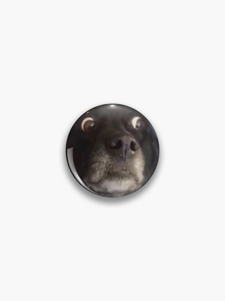 scared dog face Magnet for Sale by Petmemes