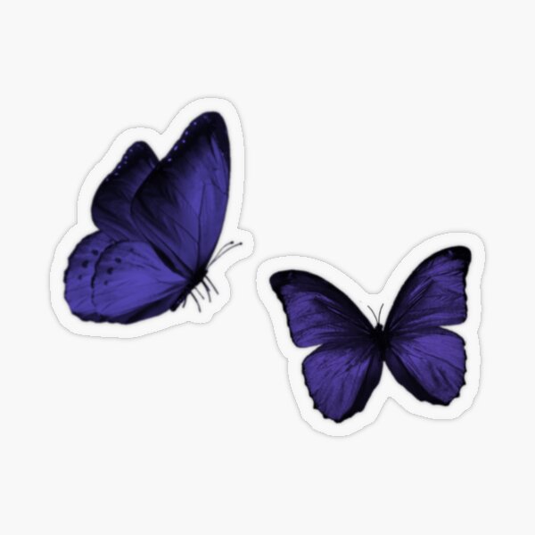 Purple butterfly Sticker for Sale by VikiKL  Purple butterfly, Aesthetic  stickers, Butterfly drawing