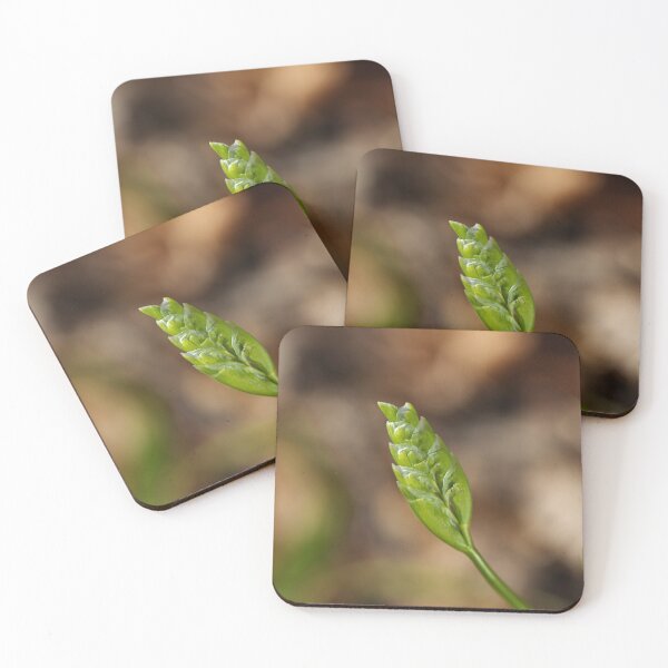 Item preview, Freesia Flower Bud Pleats designed and sold by Joy Watson - Natural Light Photography .