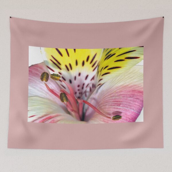 Item preview, Flower fireworks designed and sold by B. Randi Bailey.