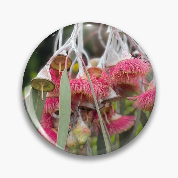 Item preview, Pink Gum Tree designed and sold by JojoAggs.