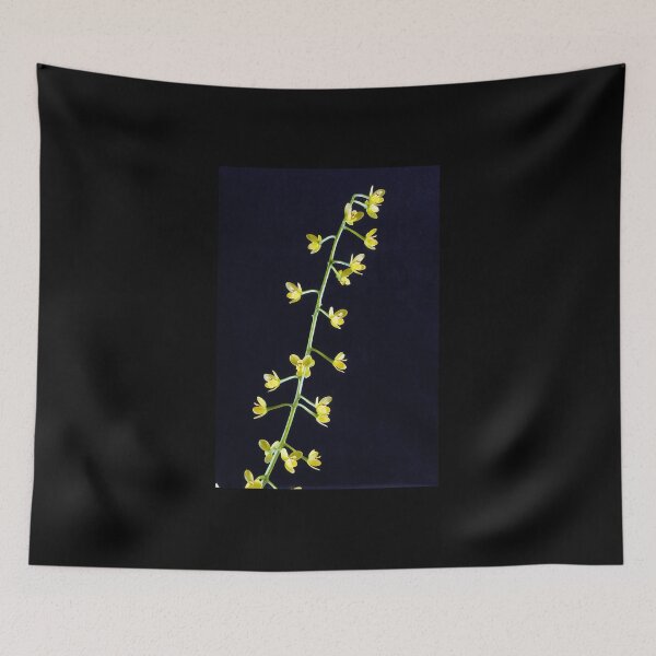 Item preview, Yellow on Black designed and sold by DayColors.