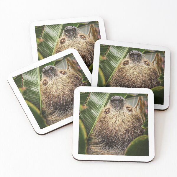 Item preview, Two-toed Sloth (2018) by Stan Bysshe designed and sold by LenaShines.