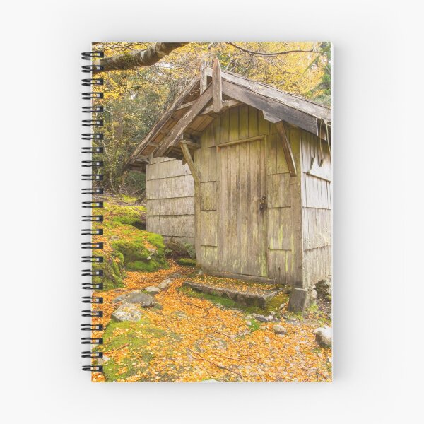 Item preview, Fagus - cradle mountain designed and sold by Paul Campbell  Photography.