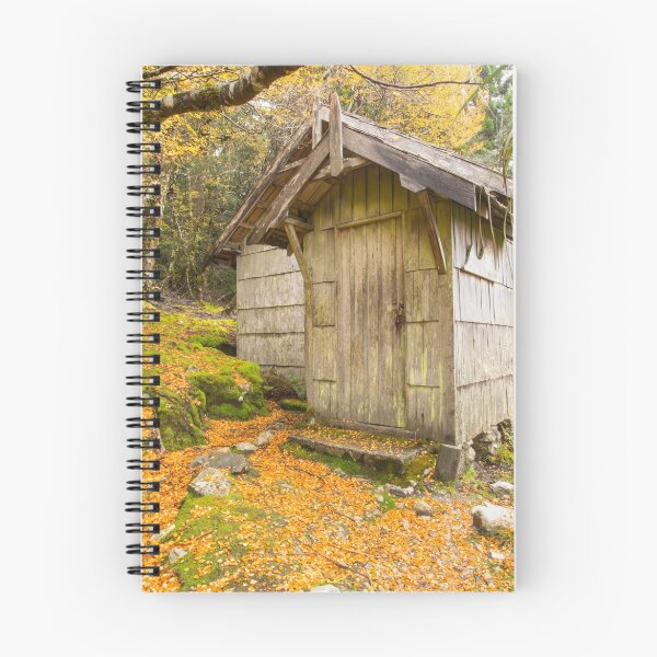 Item preview, Fagus - cradle mountain designed and sold by Paul Campbell  Photography.