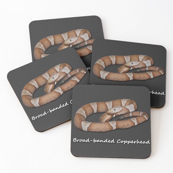 Item preview, Broad-banded Copperhead designed and sold by Paul-Prints.