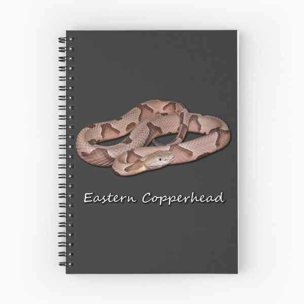 Item preview, Eastern Copperhead designed and sold by Paul-Prints.