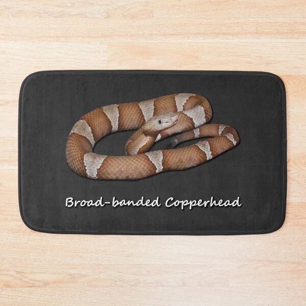 Item preview, Broad-banded Copperhead designed and sold by Paul-Prints.