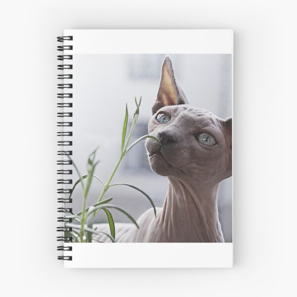 Item preview, Hairless Sphynx Cat designed and sold by FindYouByZ.